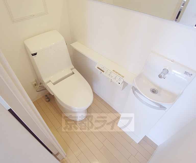 Toilet. Happy is with a bidet