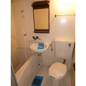 Bath. Unit is a bus!