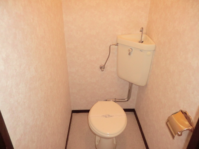 Toilet. The photograph is a separate room.