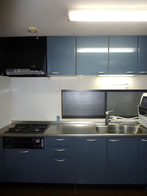 Kitchen. Indoor (September 2013) Shooting