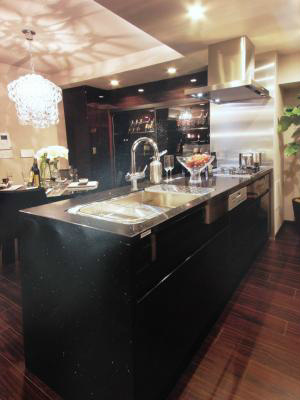 Kitchen. Model room is a picture.