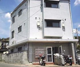 University ・ Junior college