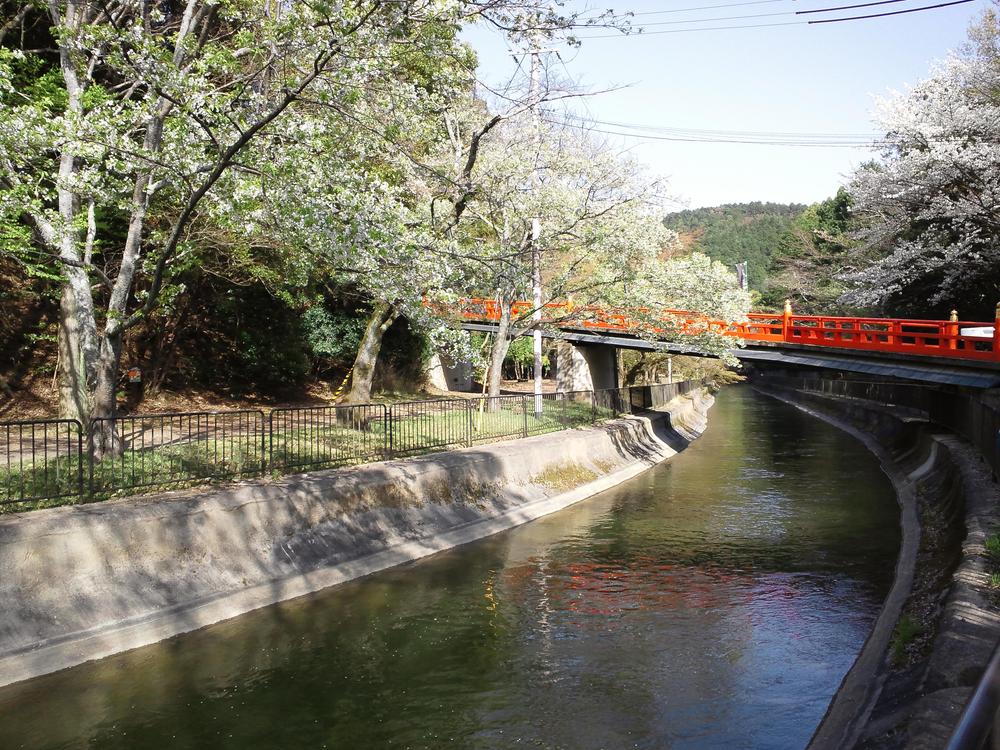 Other Environmental Photo. 45m is a natural rich environment to Lake Biwa first Canal.