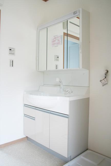 Wash basin, toilet. The large basin bowl of