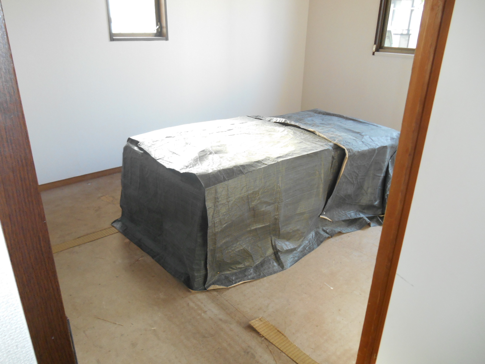 Living and room. Interior