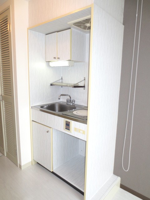 Kitchen. Clean finish Dainokku sheet construction