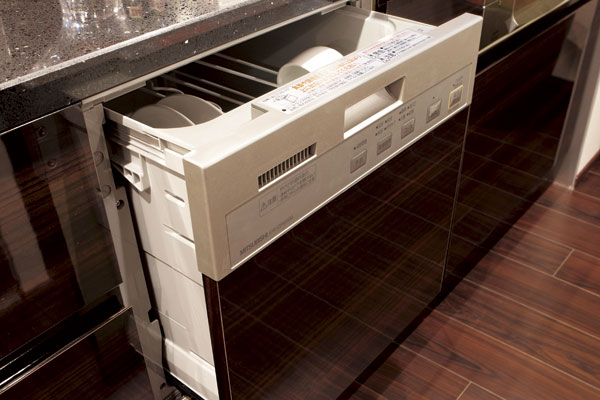 Kitchen.  [Dishwasher] ( ※ )