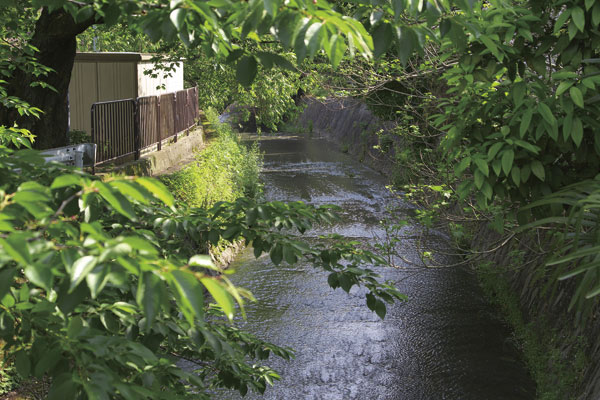 Surrounding environment. Flowing through the peripheral local Shinomiya River (3-minute walk ・ About 230m)