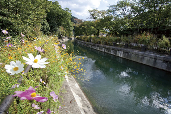 Surrounding environment. Yamashina hydrophobic draws water in Kyoto city from Lake Biwa, The minute line of Lake Biwa hydrophobic. Cherry trees are along the hydrophobic followed, It is also popular as a walking course (Yamashina hydrophobic (Lake Biwa first hydrophobic) / 12 mins ・ About 900m)
