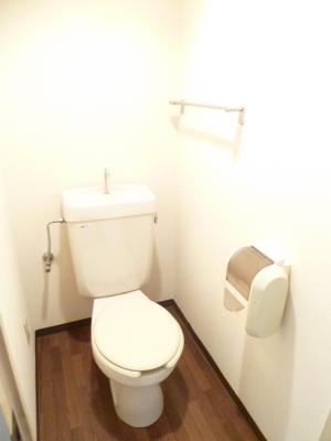 Other. Is a beautiful toilet disinfection already.