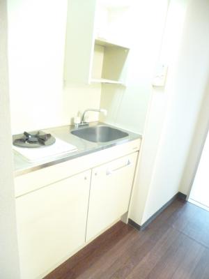 Kitchen. Cooking easy gas stove