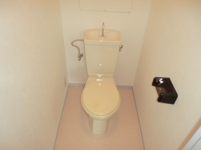 Toilet. The photograph is a separate room.