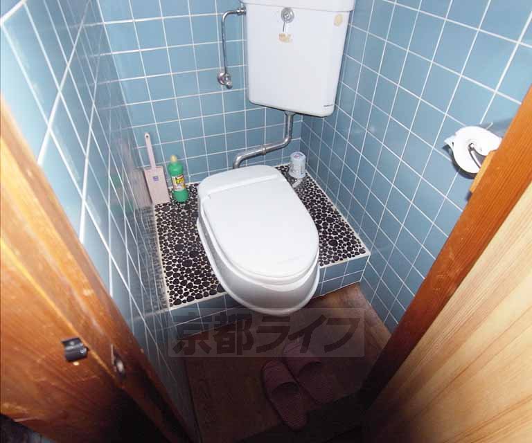 Toilet. It has been in Western-style type!