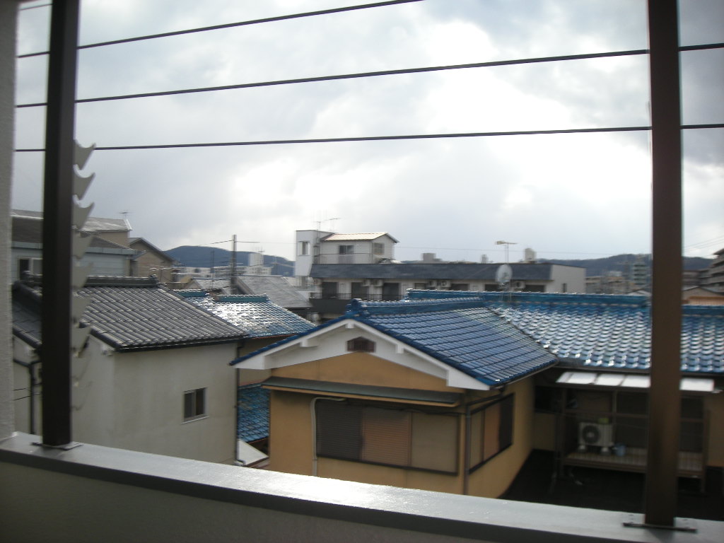 View. View from the balcony