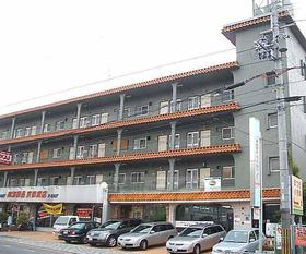 University ・ Junior college