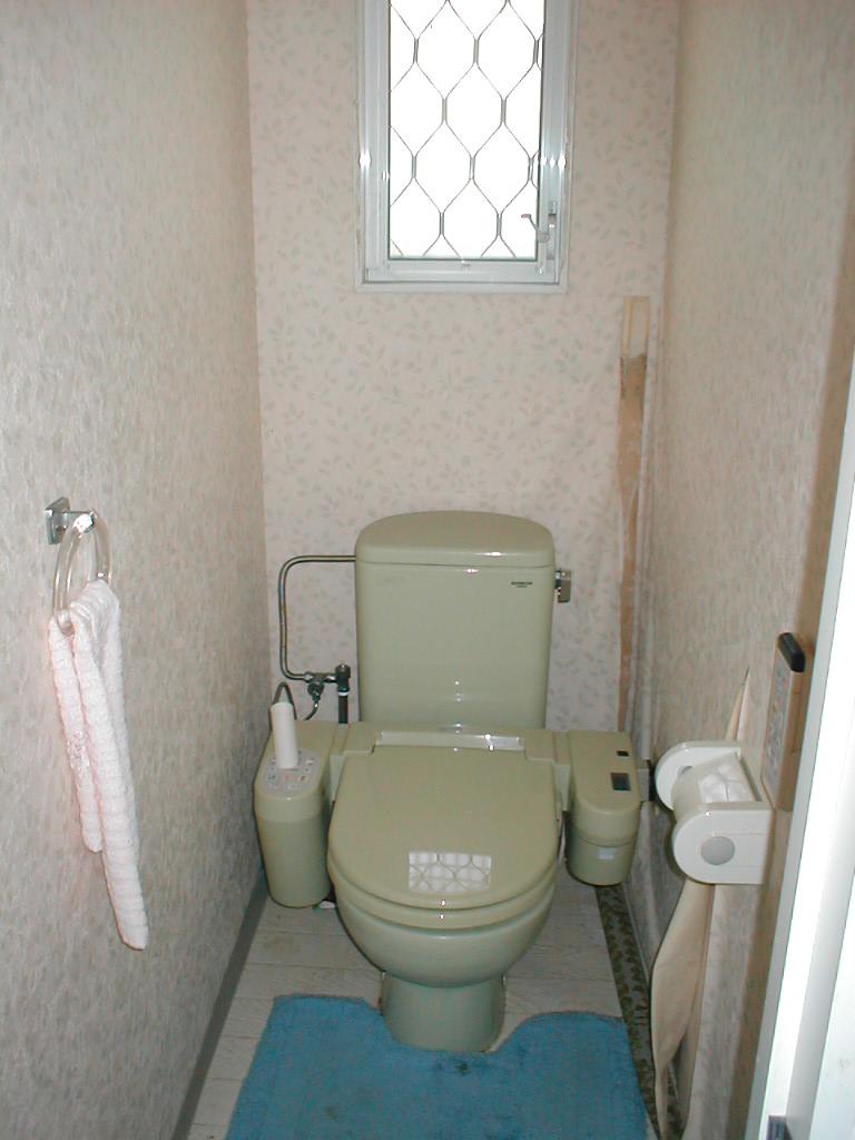 Toilet. Indoor (10 May 2013) Shooting