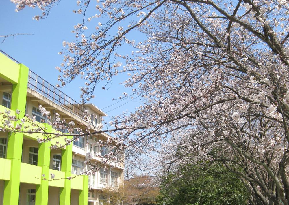 Primary school. Muko stand second Koyo to elementary school 74m