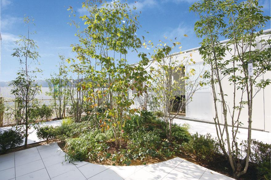 Other local. Green flower plan ☆ If there is a green felt the four seasons. 