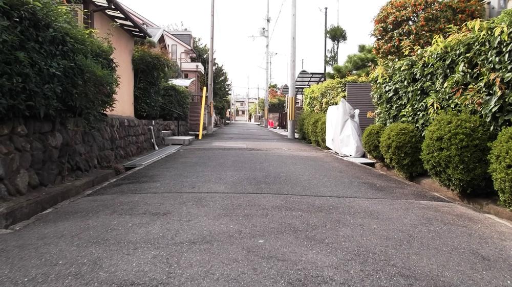 Local photos, including front road. Local (11 May 2013) Shooting