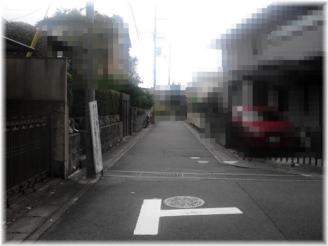 Local photos, including front road. Local (11 May 2013) Shooting