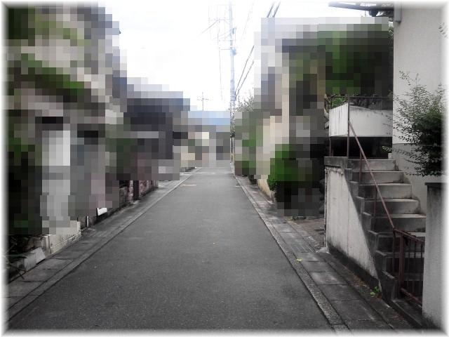 Local photos, including front road. Local (11 May 2013) Shooting