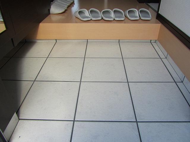 Building plan example (introspection photo). Pouch construction cases