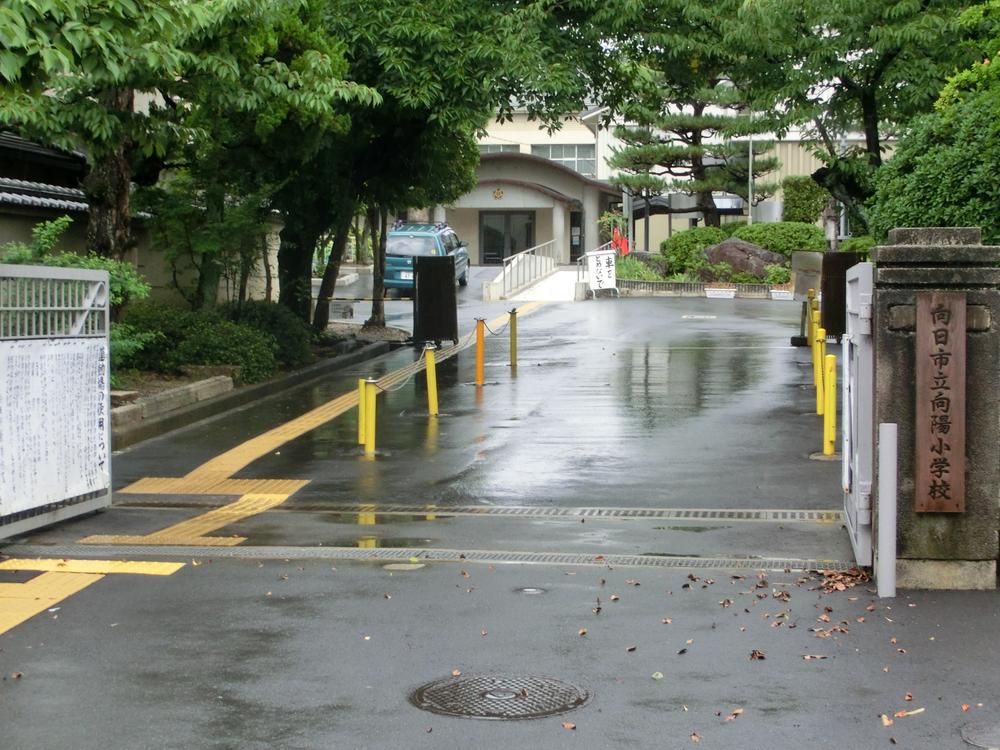 Primary school. Koyo Elementary School