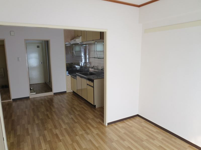 Living and room. Spacious kitchen