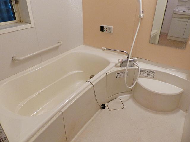 Bathroom. Local (January 2014) Shooting