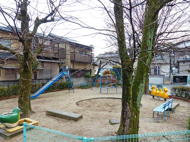 Other. Local (January 2014) Shooting