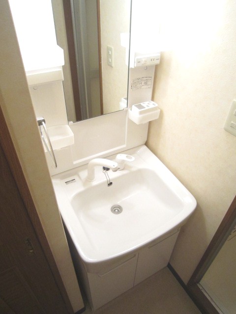Washroom. New shampoo dresser