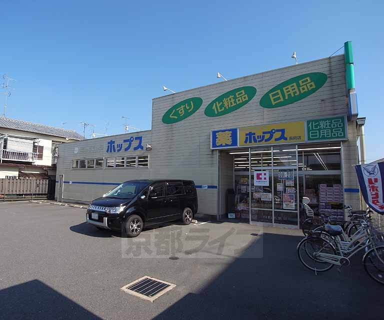 Dorakkusutoa. Drugstore Hops Nagaoka shop 600m until (drugstore)