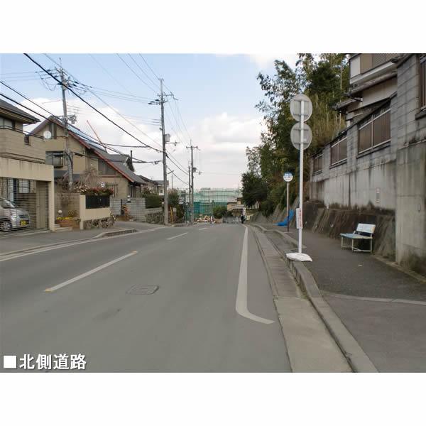 Local photos, including front road