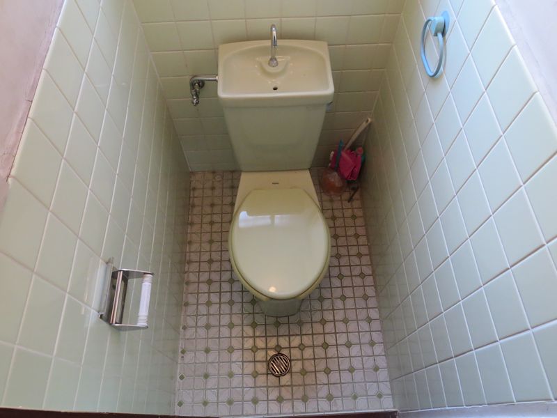 Toilet. Western-style toilet.
