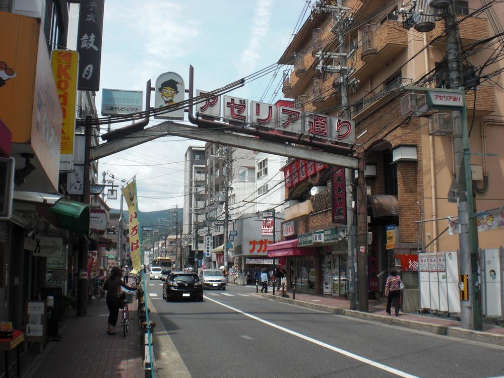 Other Environmental Photo. Azalea 640m up through