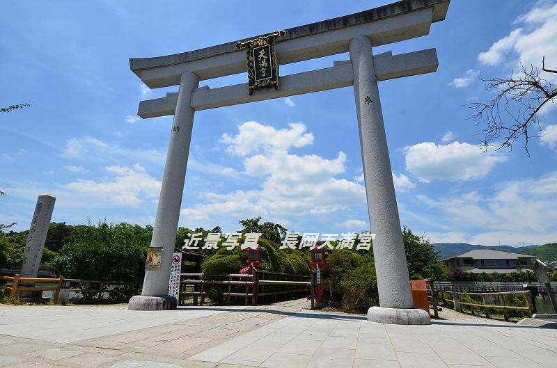 Other Environmental Photo. 1800m to Nagaoka Tenjin