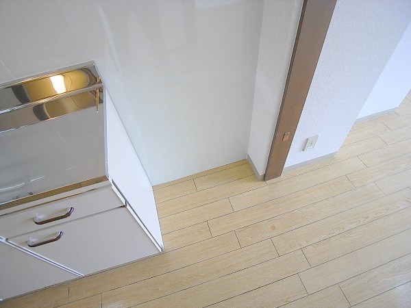 Other room space. Refrigerator yard