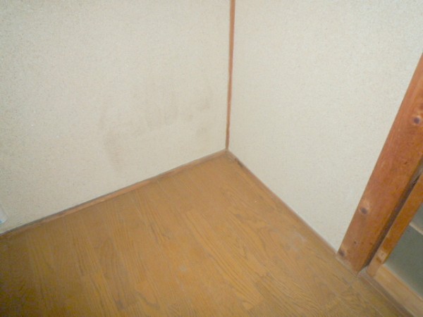 Other room space. Refrigerator yard
