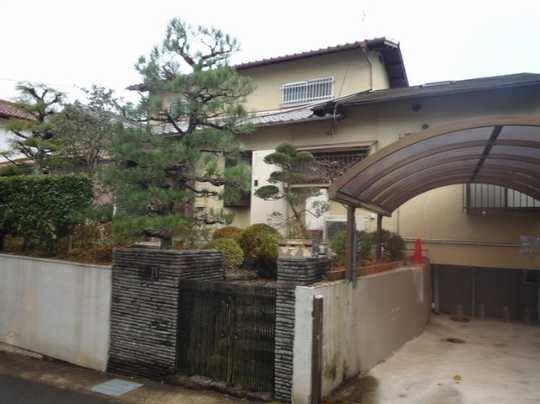 Local land photo. Appearance Photo 1