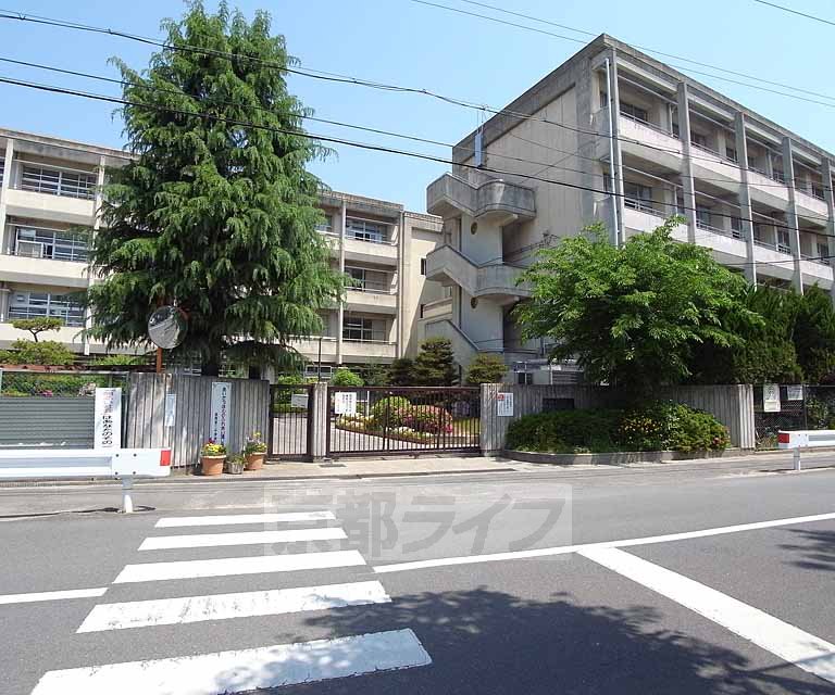 Junior high school. 500m to Nagaoka third junior high school (junior high school)