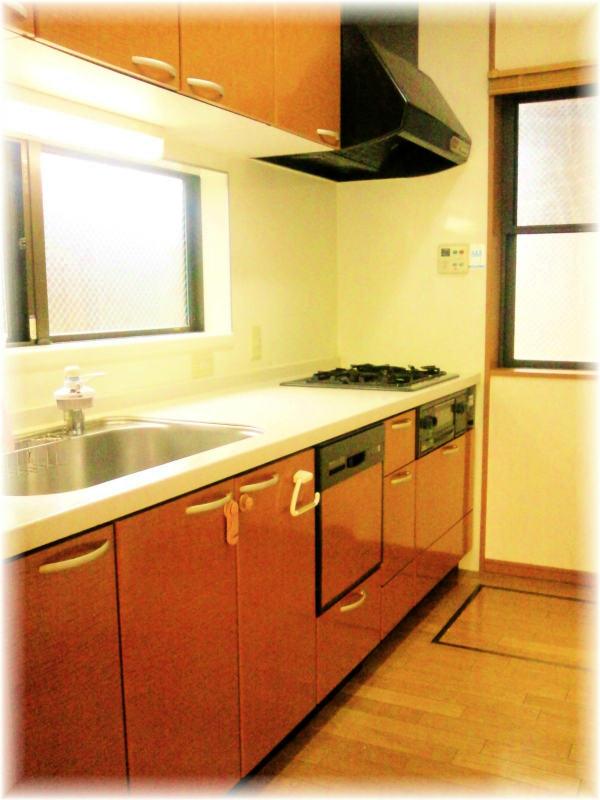 Kitchen. Indoor (12 May 2013) Shooting