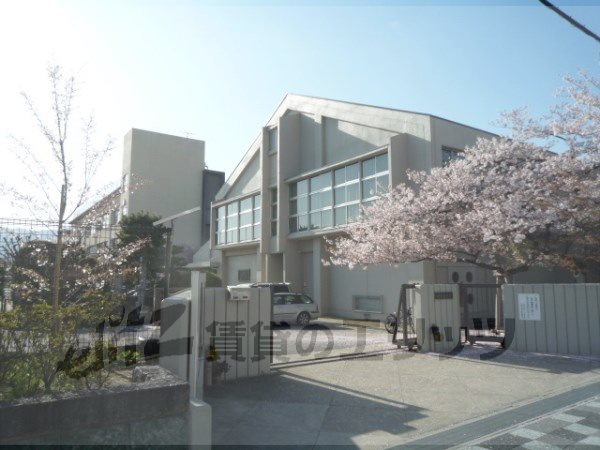 Primary school. Kotari to elementary school (elementary school) 870m