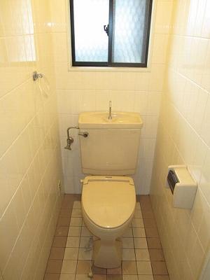 Toilet. First floor toilet