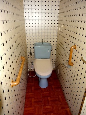 Toilet. First floor toilet