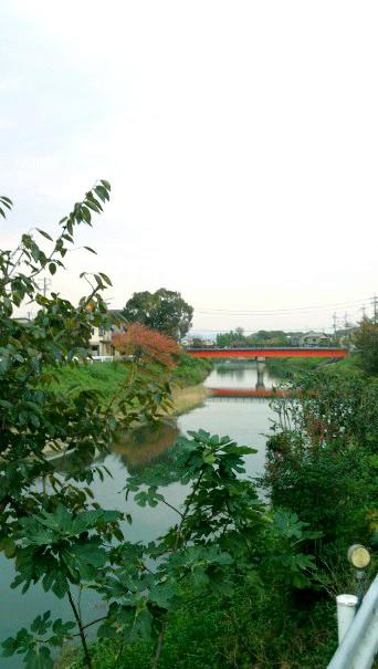 View photos from the local. Rivers Obata is flowing in front of the eye.
