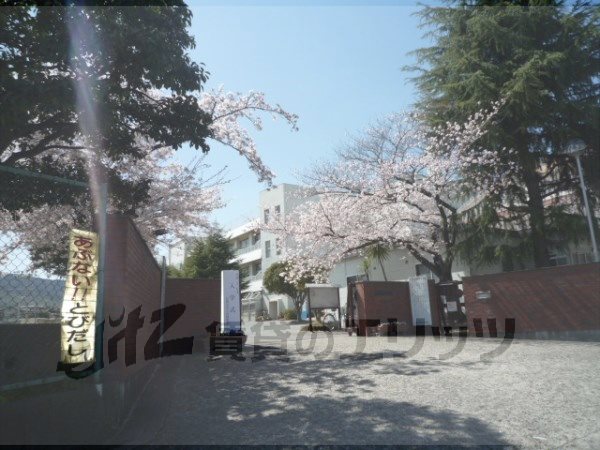 Primary school. 300m to Nagaoka fourth elementary school (elementary school)