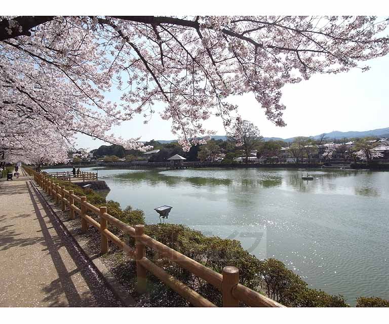 Other. 120m Hachijo until the pond (Other)