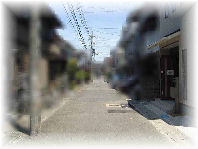 Local photos, including front road. Front road width about 5m