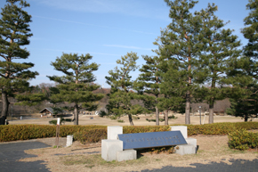 Other Environmental Photo. Show me the expression of the seasons 2800m four seasons until Keihanna Memorial Park, Memorial park. Flying about even birds, It is possible to touch the rock out nature (car about 5 minutes)
