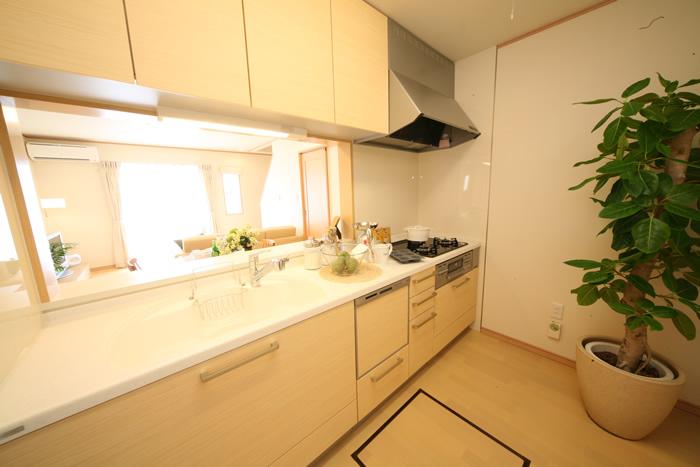 Model house photo. Kitchen